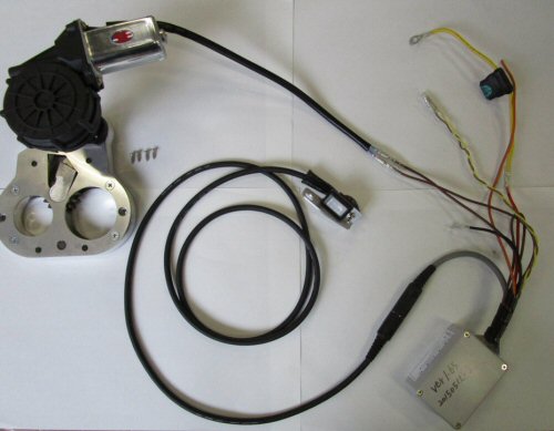 Replenish 補充 4枚セット マジック：ザ・ギャザリング Replenish 補充 4枚セット マジック：ザ・ギャザリング